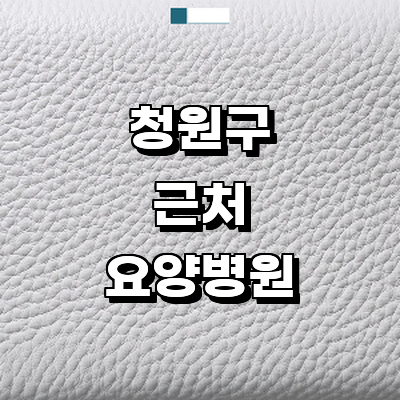 청주 청원구 요양병원