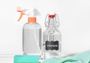 식초 물때 제거