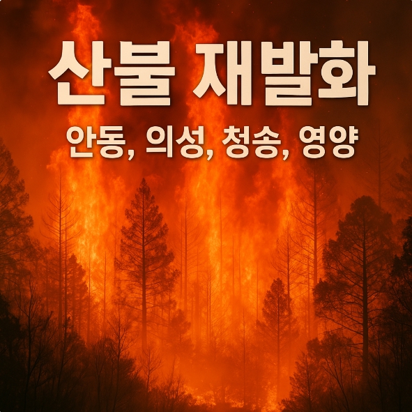산불 재발화 설명