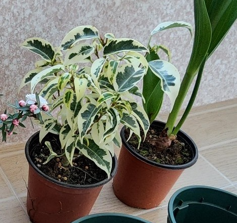 처음 사왓을때의 모습