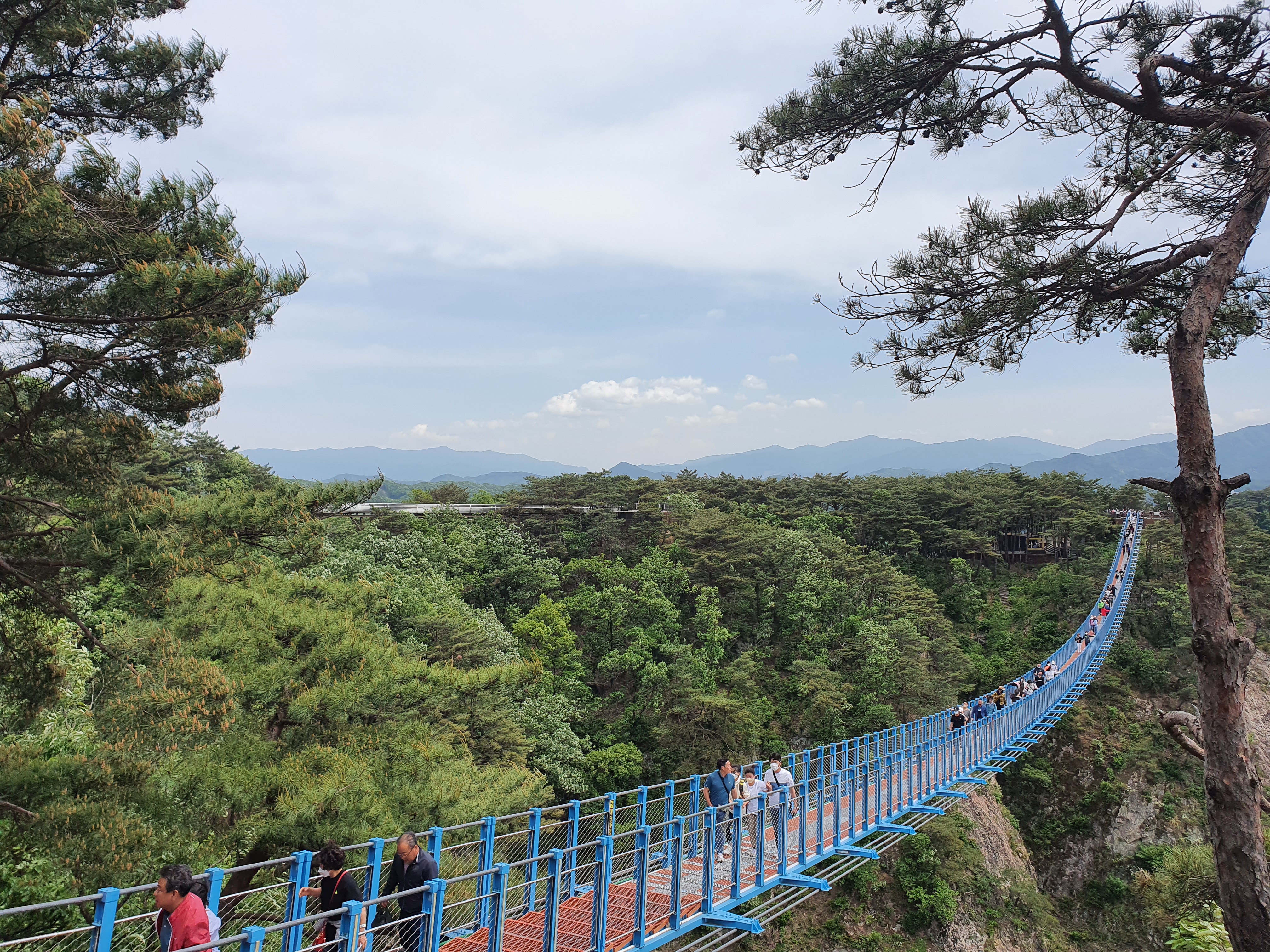 원주 소금산 출렁다리, 스카이워크, 그랜드밸리