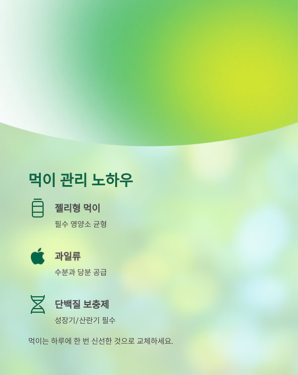 먹이 관리 노하우