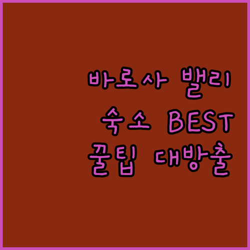 나만 알고 싶은 바로사 밸리 숙소 B