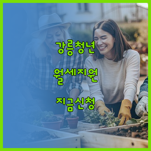 2026 강릉시 청년월세지원금 지급 ..