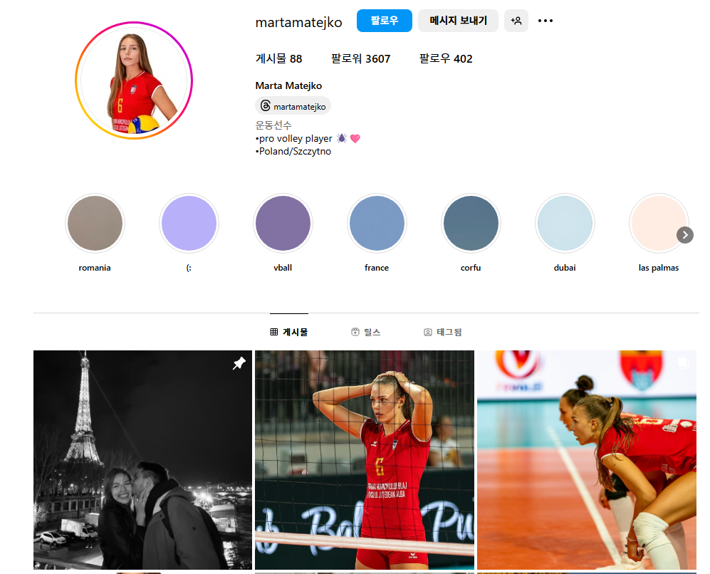 흥국생명 마테이코