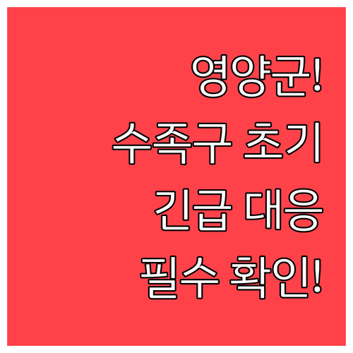 영양군 수족구 초기 증상과 긴급 대응..