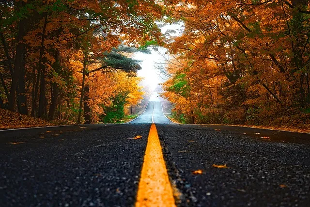화담숲 예약 방법