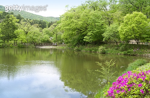 국립수목원 (광릉수목원)