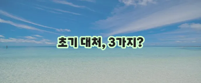 허리 삐끗 시 좋은 대처법 3가지 찜질 파스 약 핵심 정리!