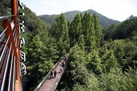 대전 가볼 만한 곳