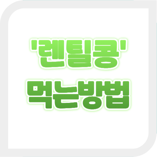 렌틸콩 먹는 방법, 렌틸콩밥 하는 법, 렌틸콩 요리법