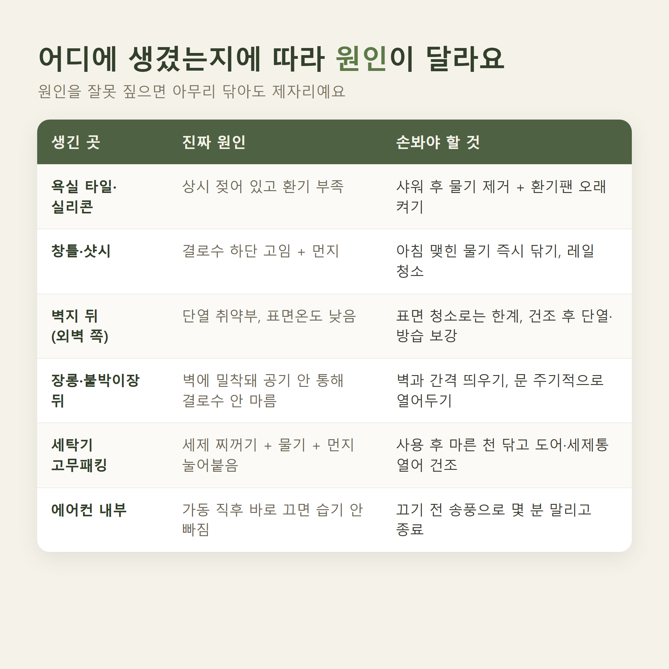 장마철 곰팡이 위치별 원인표 - 욕실, 창틀, 벽지 뒤, 장롱 뒤, 세탁기 패킹, 에어컨 내부 원인과 조치