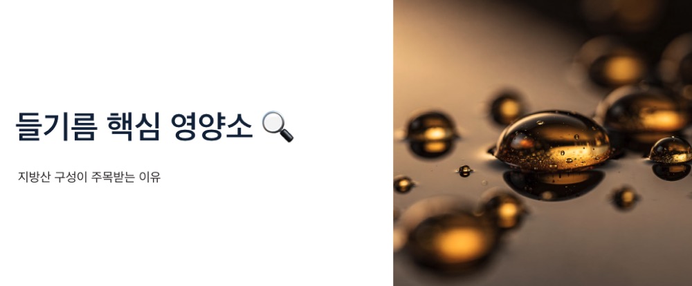 들기름 효능 핵심영양소