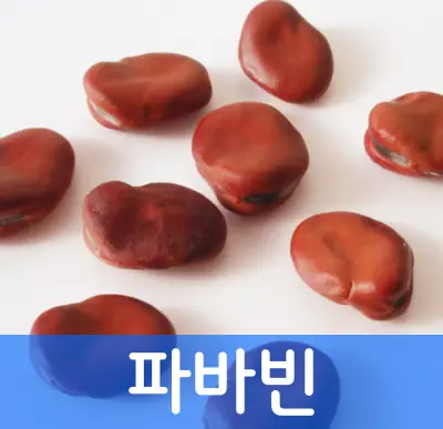 파바빈