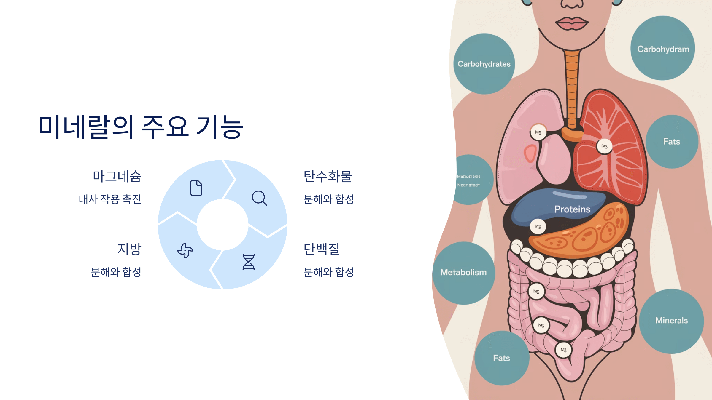 미네랄과 관련된 사진입니다.
