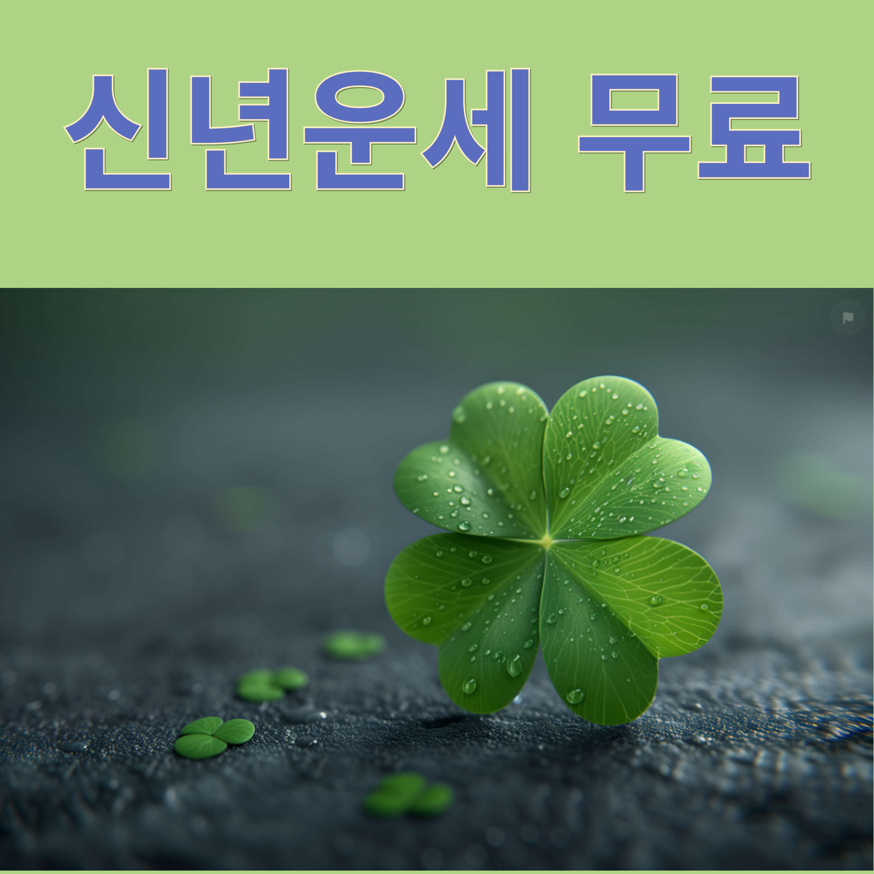 신년운세 무료보기