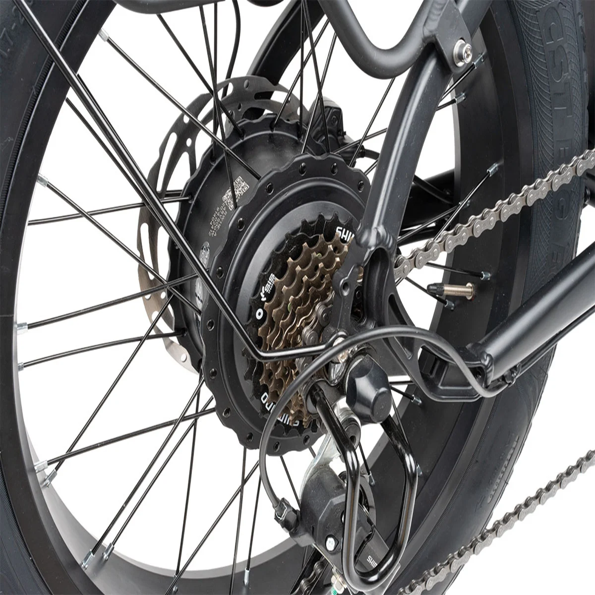 2025년 전기 자전거 추천, 부릉이 Y 펫 51cm 실속 있는 선택일까?