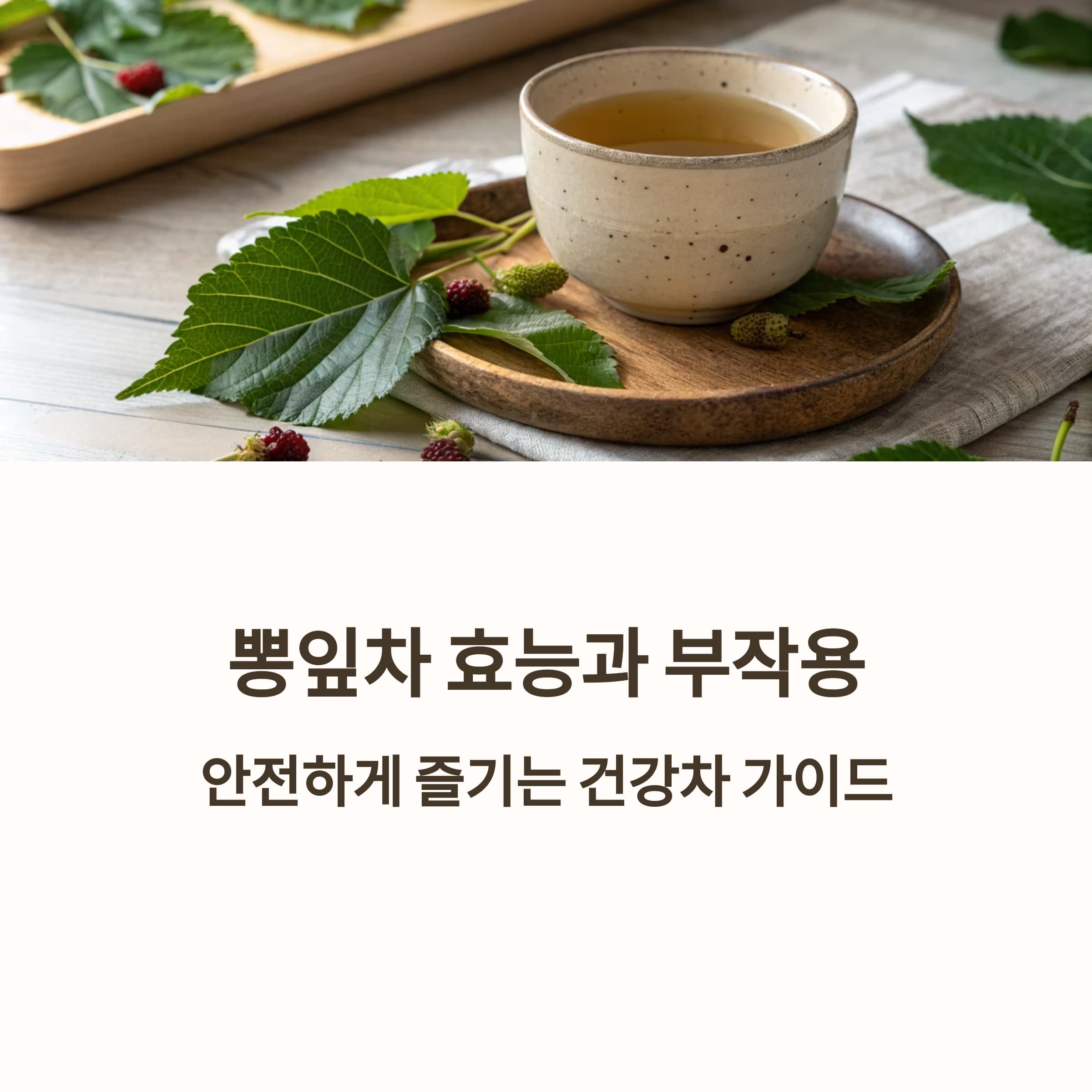 뽕잎차-효능