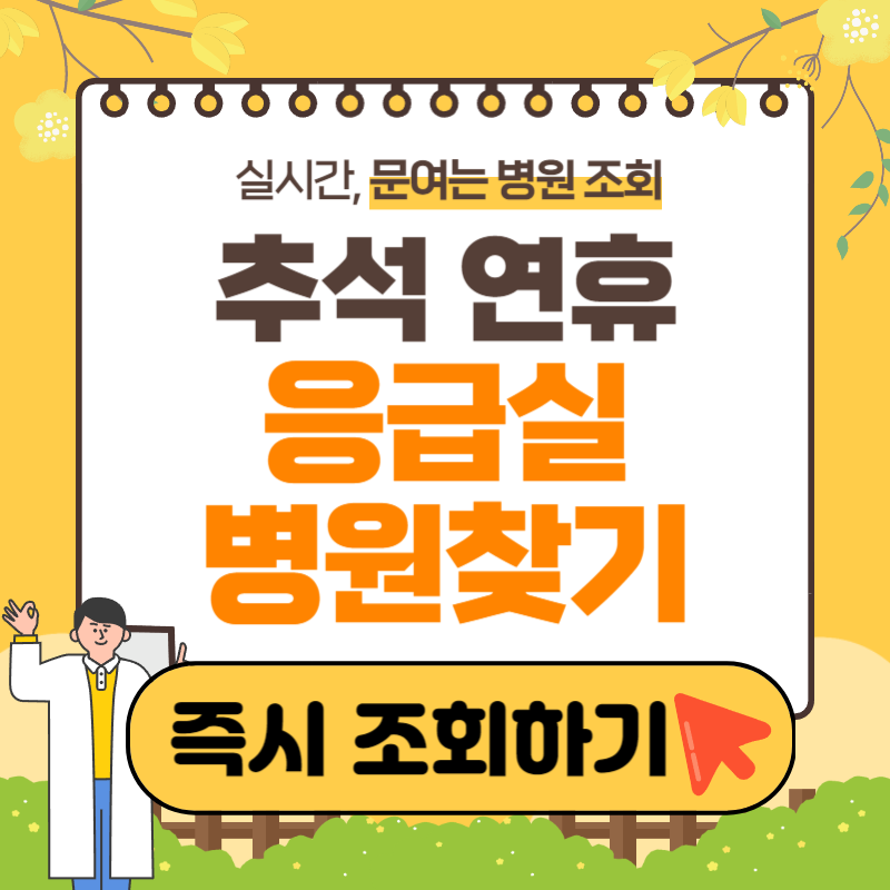 추석 응급실 진료 병원 찾기