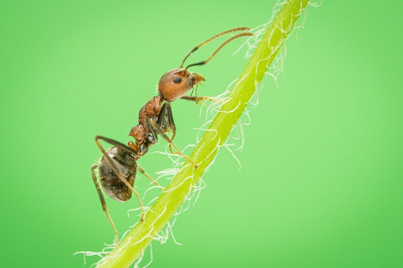 계약 갱신 요구권 완전 정리: 적용 조건부터 실제 효력 범위까지 한눈에 이해하기