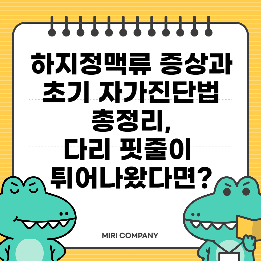 하지정맥류 증상