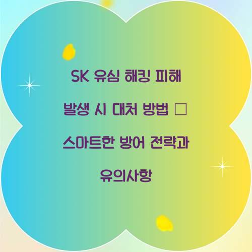SK 유심 해킹 피해 발생 시 대처 방법
