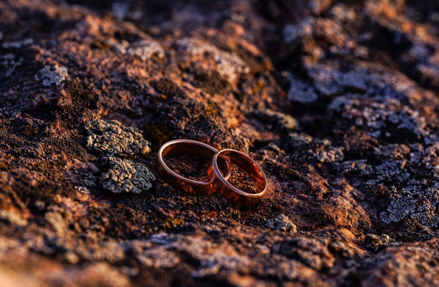 영화 사랑에 대한 모든 것 관련 사진