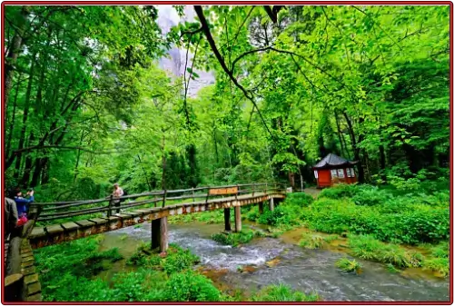 금편계의-시원하게-흐르는-계곡물과-산책로