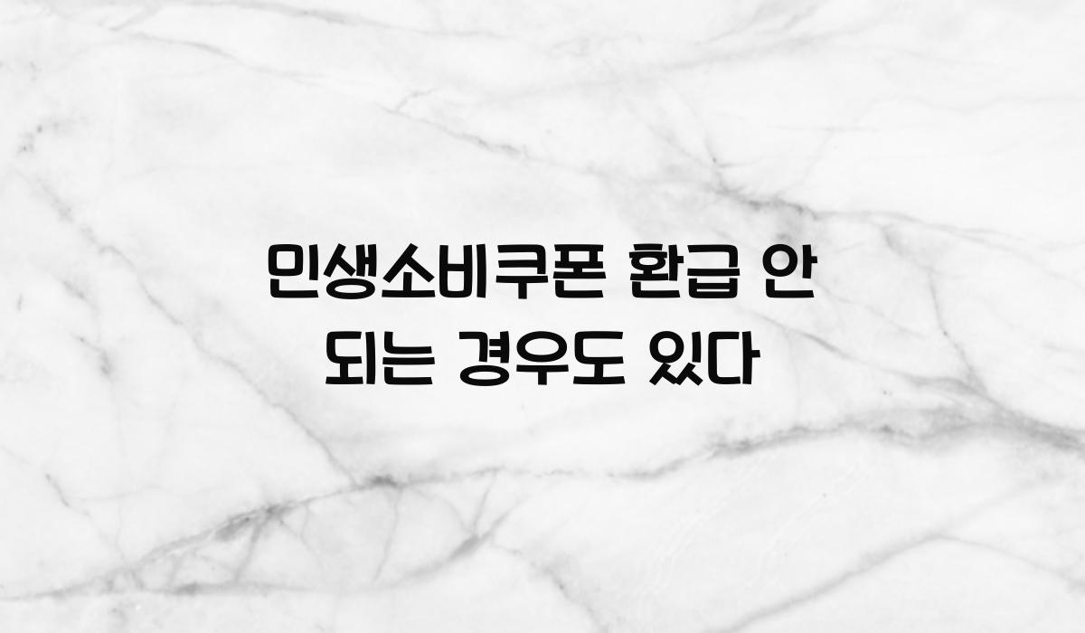 민생소비쿠폰 환급 안 되는 경우도 있다