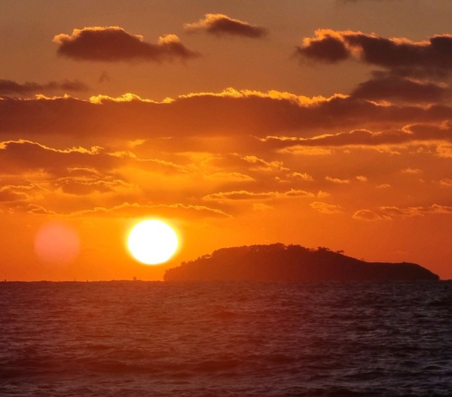 생방송투데이 태안 3GO여행 태안세계튤립꽃박람회 독살체험 우럭젓국 간장게장 꽃지해수욕장 낙조