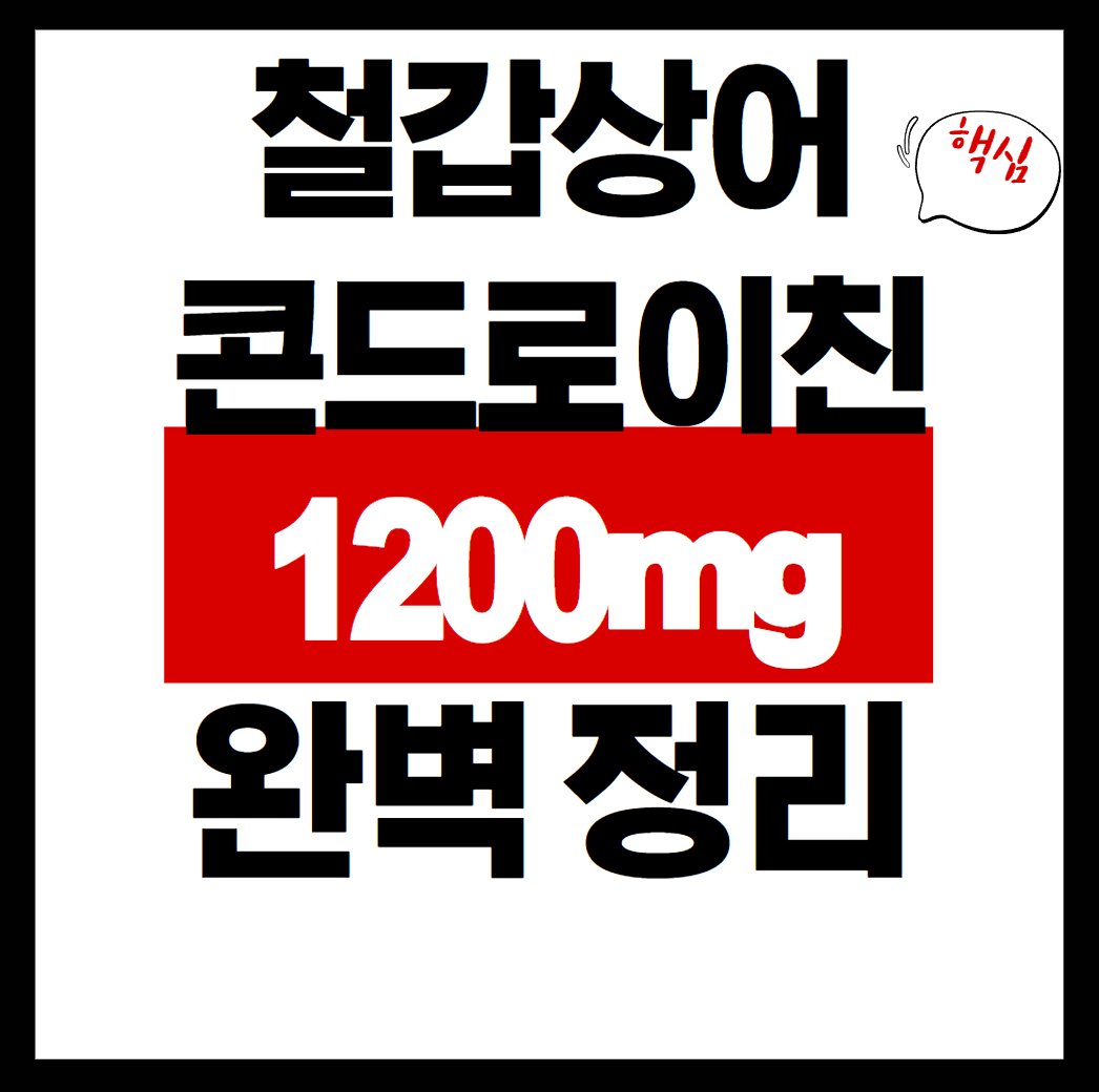 콘드로이친1200mg
