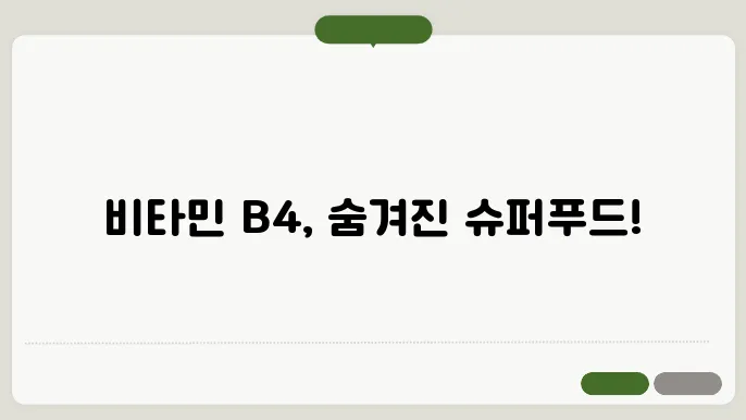 비타민 B4 많이든 음식