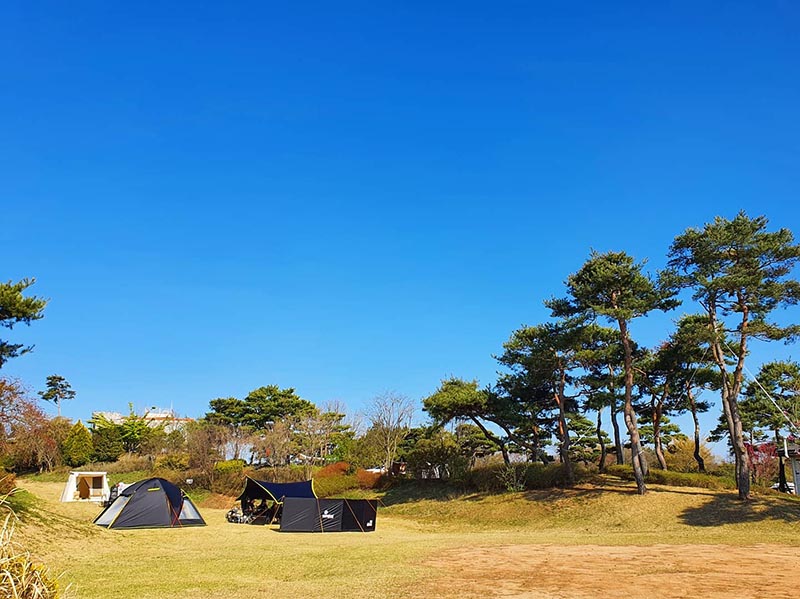 서산 잔디캠핑장 '삼원레저타운' 소개