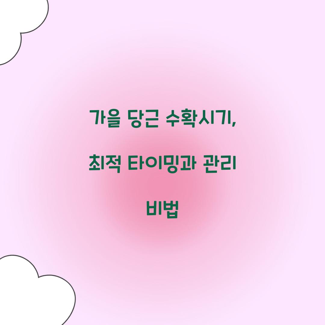 가을 당근 수확시기