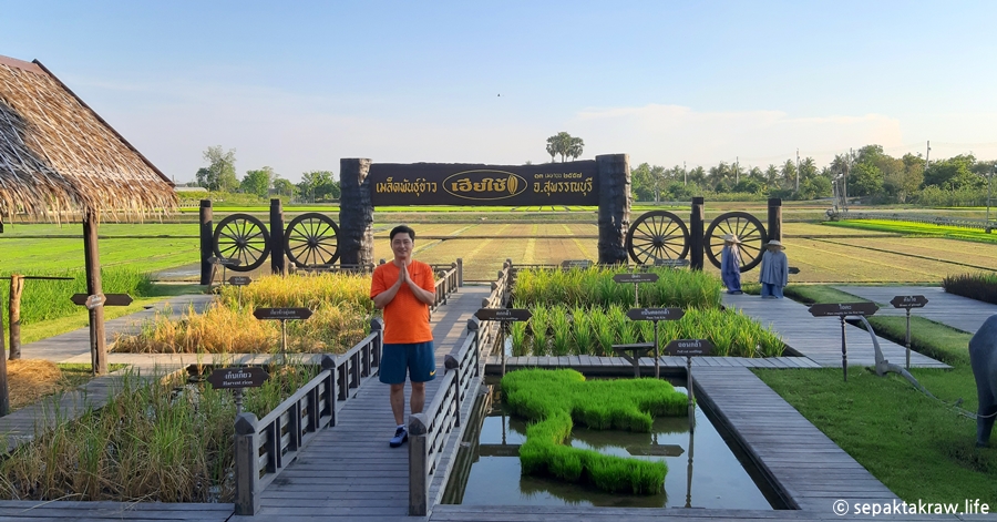 갤럭시A5로찍은태국여행사진이야기