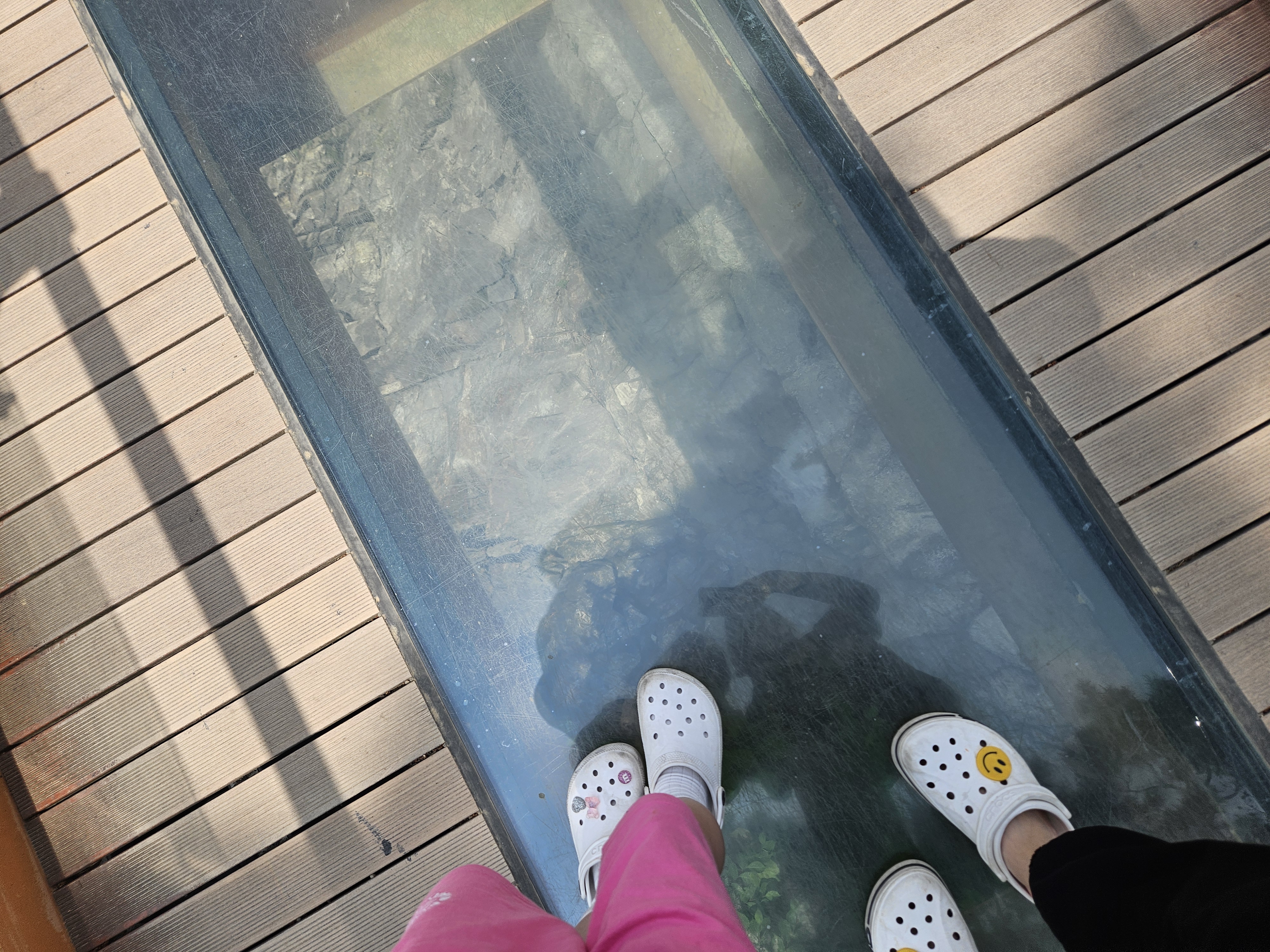 의림지 유리전망대