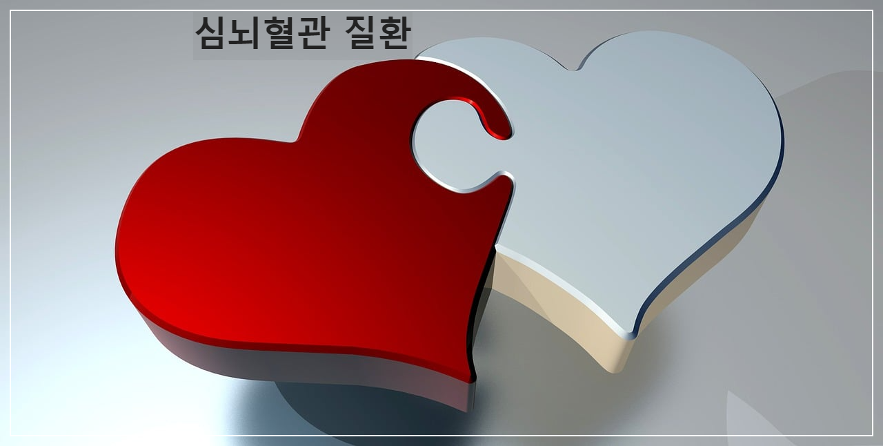 심뇌혈관 질환
