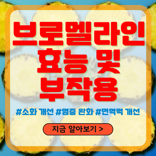브로멜라인 주요 효능 및 부작용