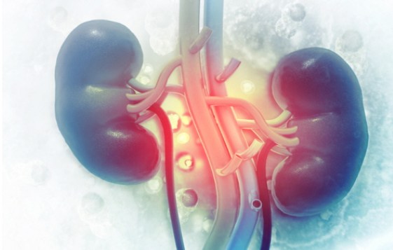 당뇨, 신장질환