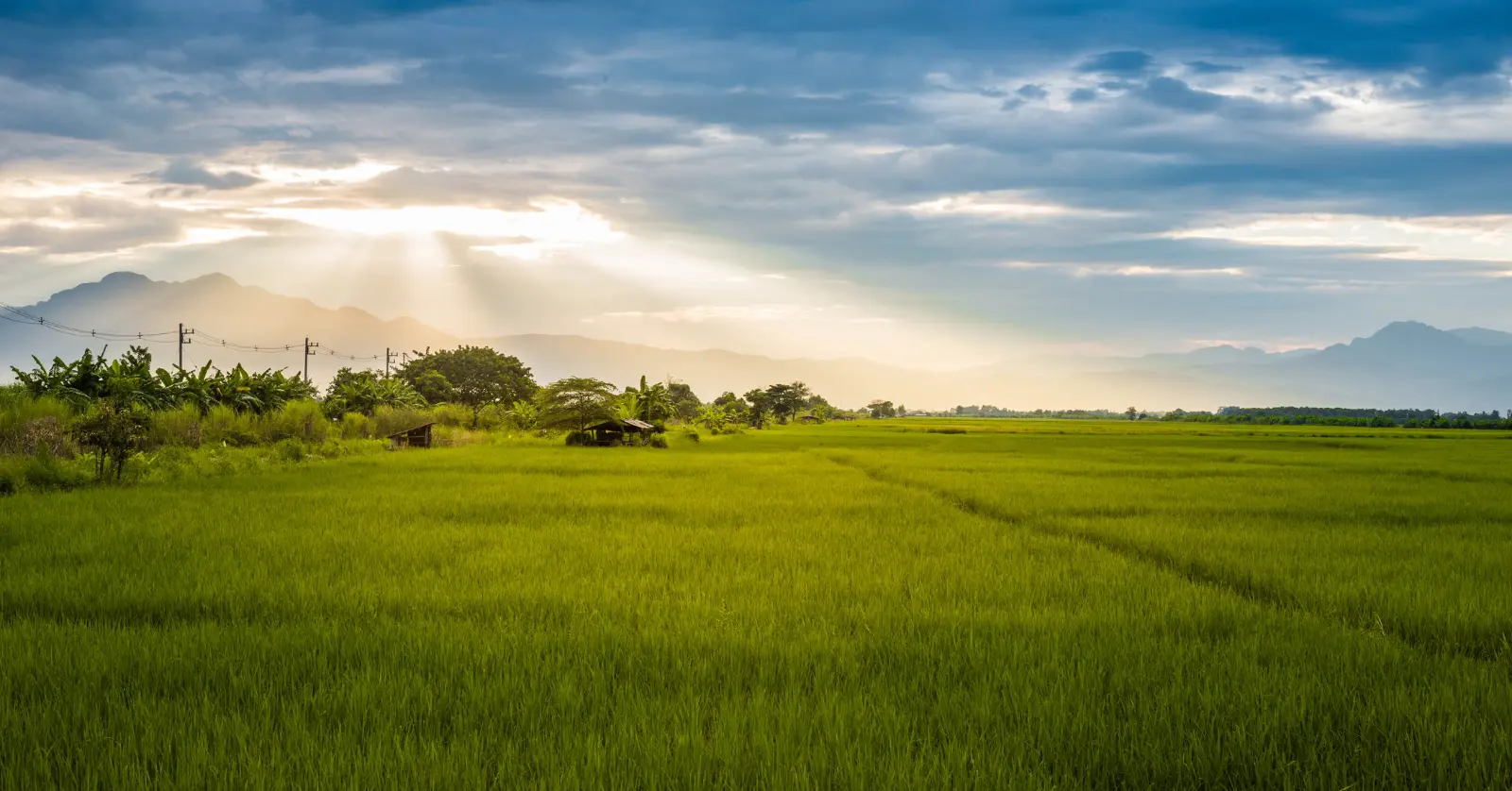 공시지가란 무엇인가? 기준가의 개념과 목적