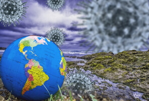 성인 홍역 예방접종