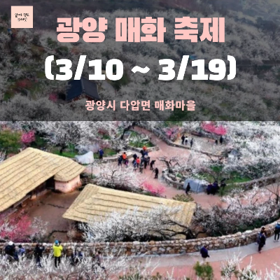 전국 봄 축제 가볼만한 곳 BEST 5