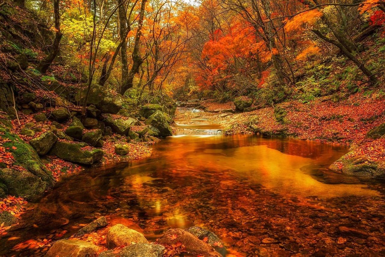 가을 여행지 추천 설악산
