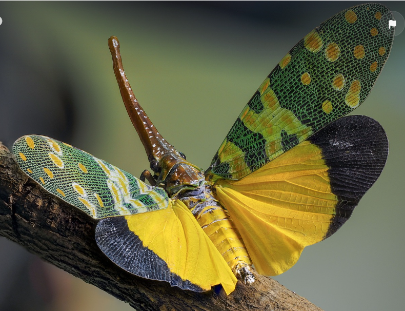 심리적 요인과 성격 유형: 성격 유형이 개인의 행동에 미치는 영향