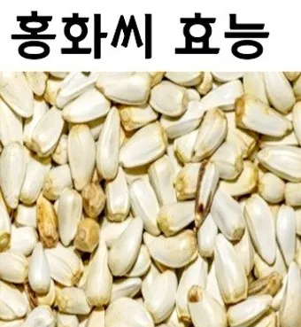 홍화씨 효능 영양성분 홍화씨유 먹는법_9