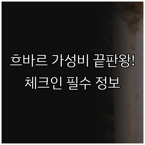 크로아티아 흐바르 섬 숙소 가격 대비..
