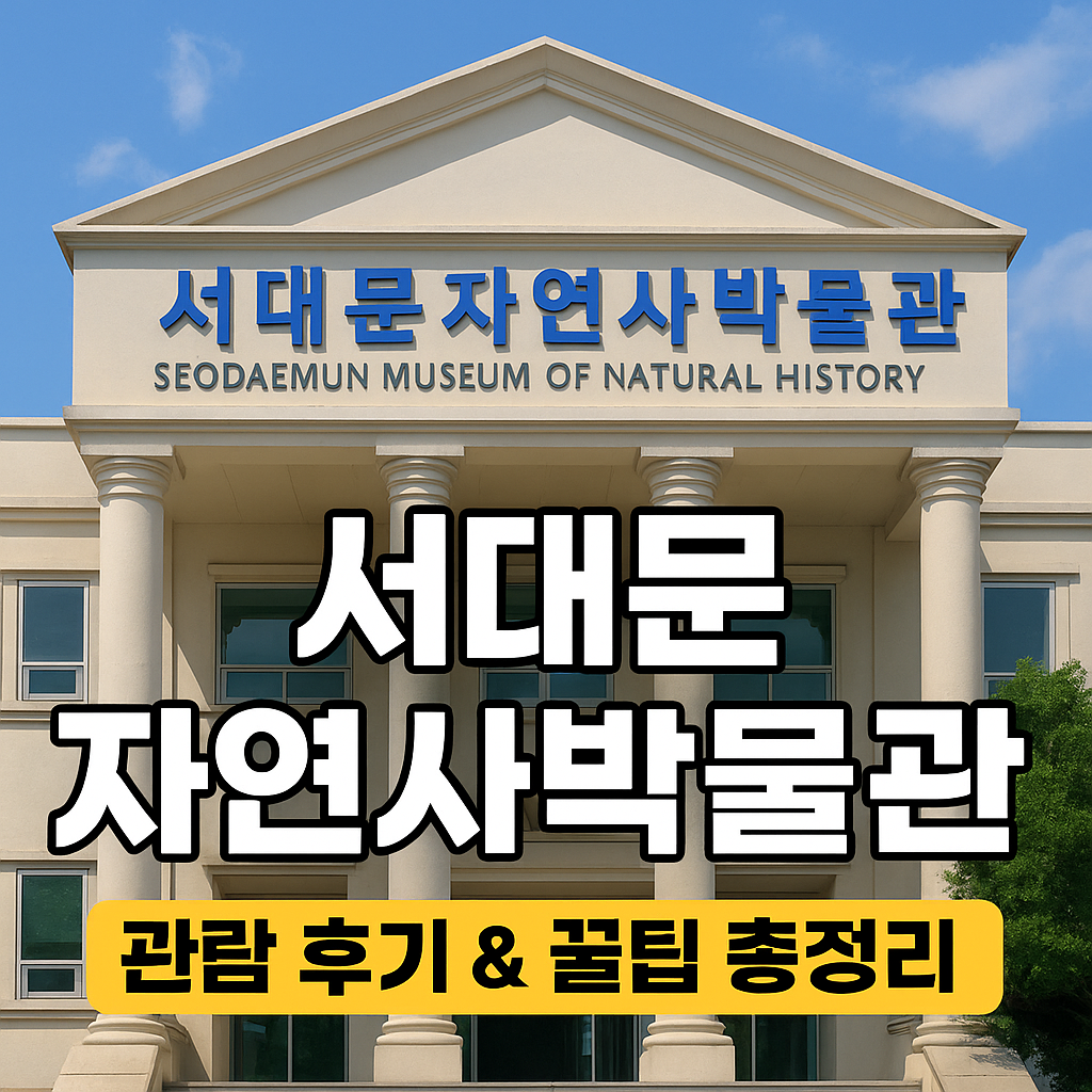 [서대문 자연사박물관] 놓치면 손해! 아이와 주말 나들이 필수 코스
