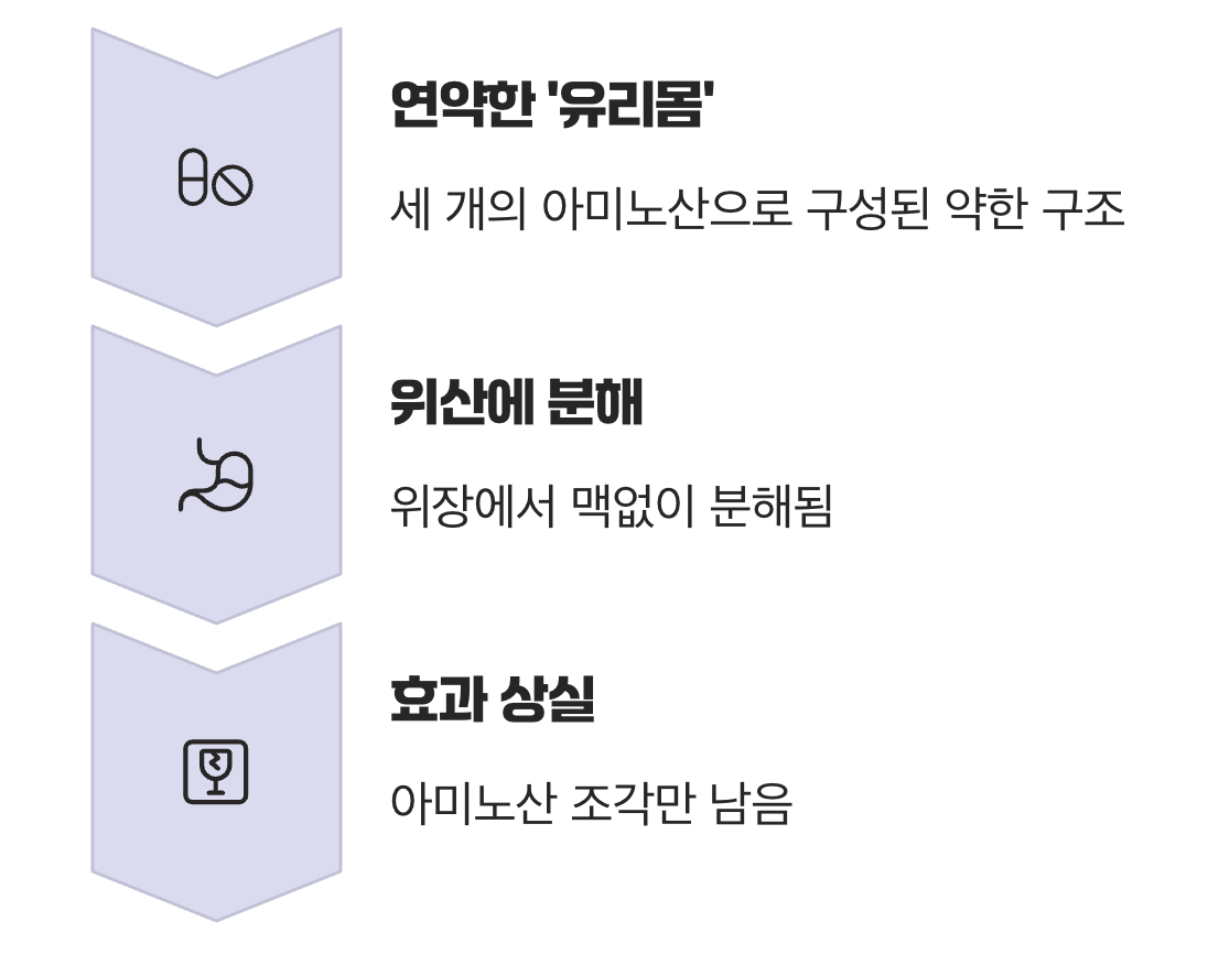 위산에 녹아버리는 &amp;#39;유리몸&amp;#39;의 비극