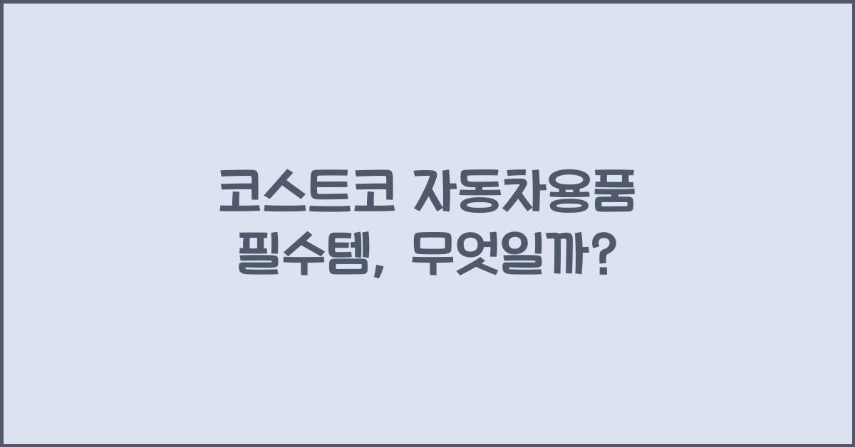 코스트코 자동차용품