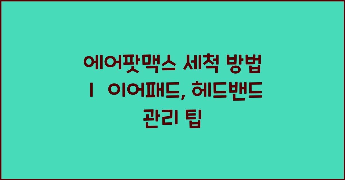 에어팟맥스 세척